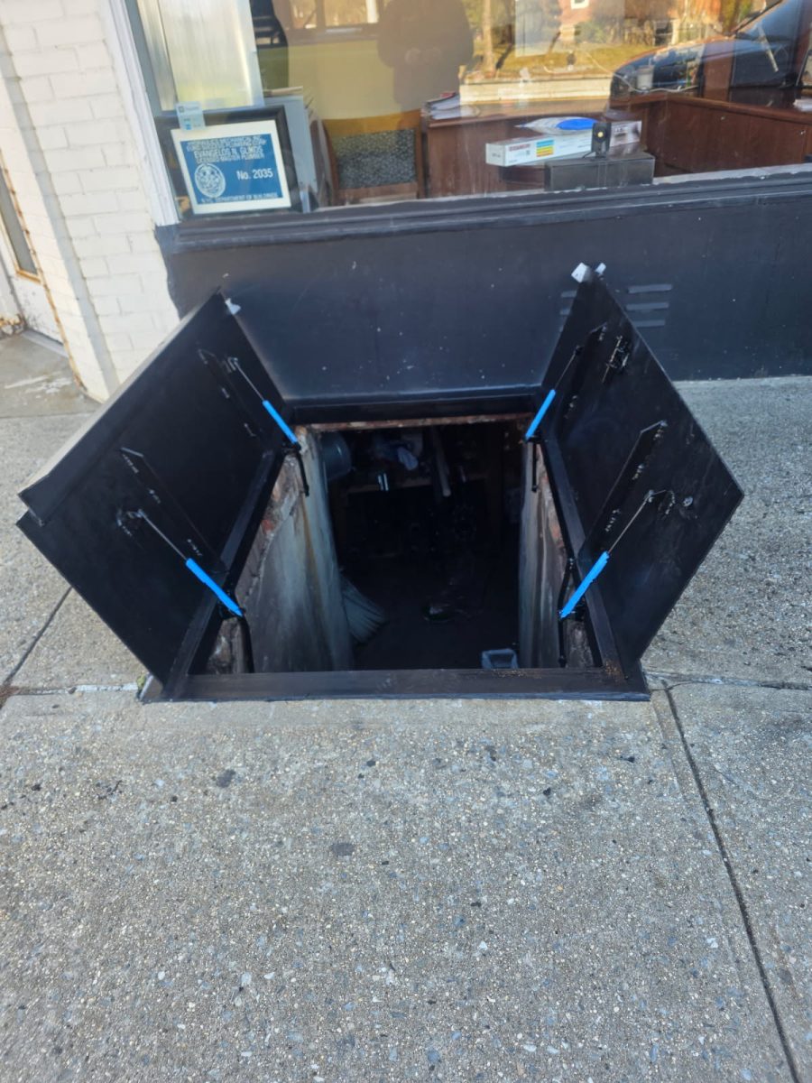 access door lift basement door city