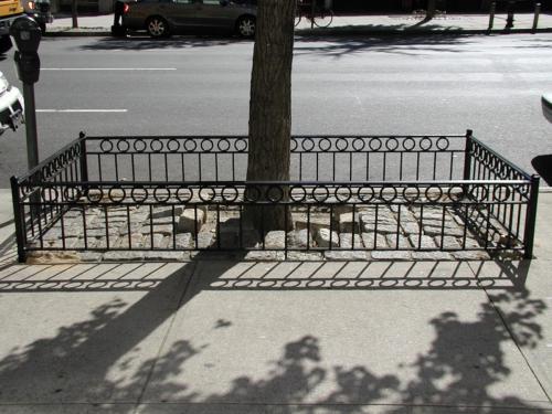 treet pit guards upper East Side manhattan ny