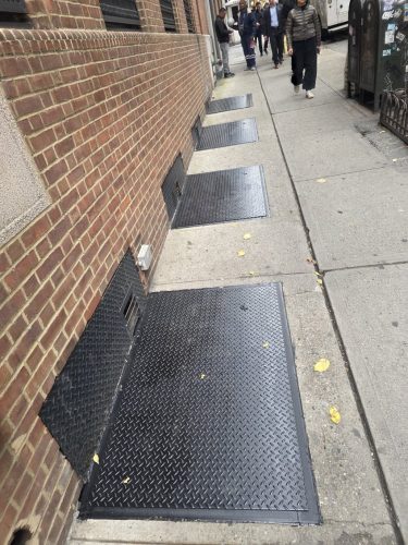 flat cellar door bronx